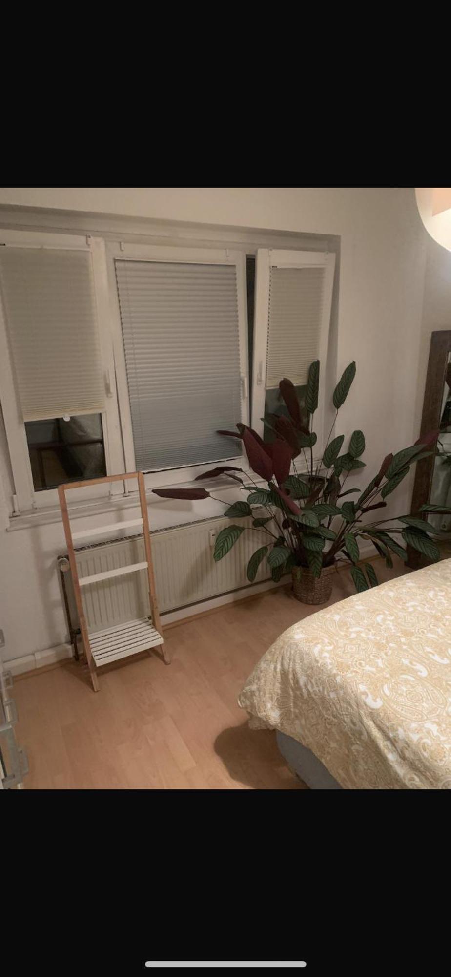 Kleine Gemuetliche Wohnung, Direkt Neben Messe Und Lanxess Arena * Cologne